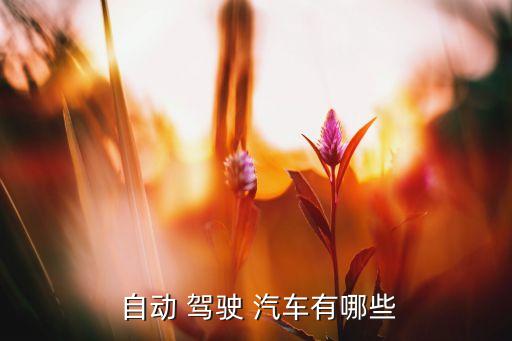 汽車自動駕駛,自動駕駛汽車技術(shù)復(fù)雜大部分是l2自動