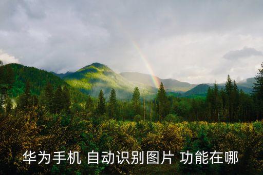 p10有沒有自動(dòng)識(shí)臉功能,華為推出人臉識(shí)別系統(tǒng)和快捷欄