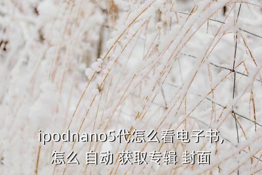 ipodnano5代怎么看電子書,怎么 自動(dòng) 獲取專輯 封面