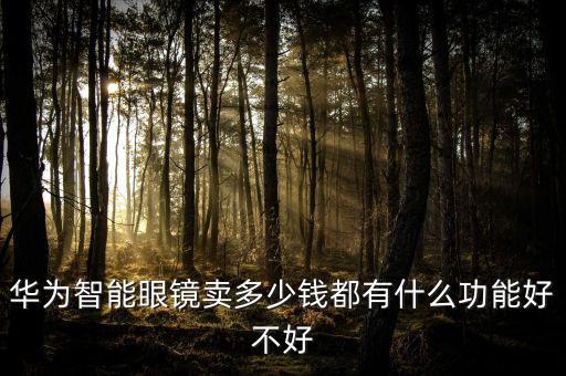 華為智能眼鏡有什么黑科技，GENTLE MONSTER華為智能眼鏡如何完成接電話的功能呀