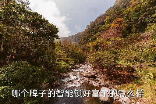 哪個(gè)牌子的智能鎖好富宇的怎么樣