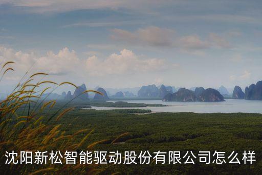 沈陽新松智能驅(qū)動股份有限公司怎么樣