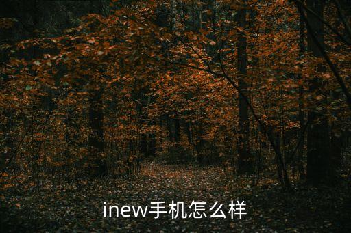 天津新松智能科技怎么樣，沈陽新松智能驅(qū)動(dòng)股份有限公司怎么樣