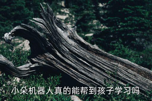 爾朵智能科技公司如何，那個聚朵科技的管理團隊怎么樣呢