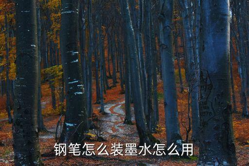 智能鋼筆黑科技墨水怎么用，問(wèn)鋼筆吸墨水以及使用方法