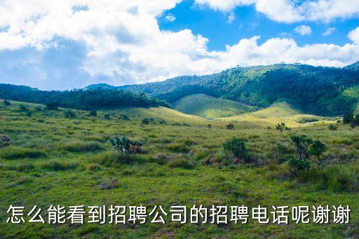 千凱智能科技招聘電話多少，智聯(lián)招聘咨詢電話是多少