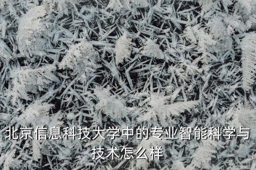 北曜智能科技怎么樣，北京信息科技大學中的專業(yè)智能科學與技術怎么樣