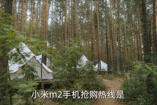 九驤智能科技招聘電話多少，小米m2手機(jī)搶購(gòu)熱線是