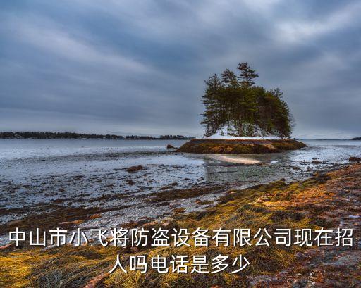 摩弗智能科技招聘電話是多少，智聯(lián)招聘咨詢(xún)電話是多少