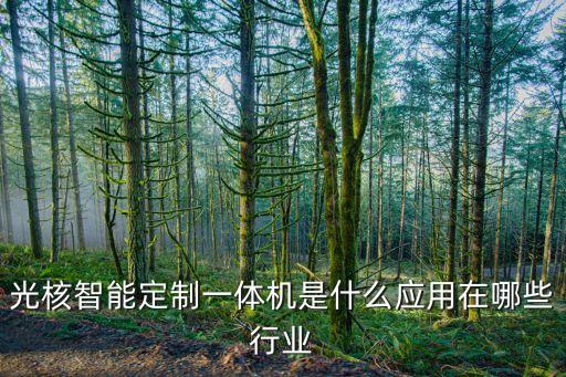 光奕智能科技是做什么的，光寶智能科技有限公司是做什么的