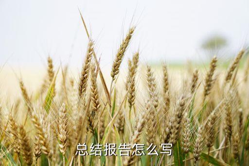 智能科技行業(yè)總結(jié)范文怎么寫，總結(jié)報(bào)告怎么寫