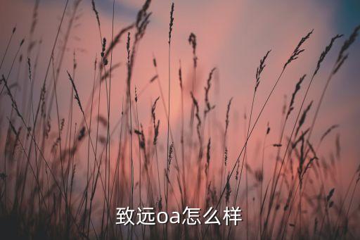 山東致遠(yuǎn)智能科技怎么樣，請(qǐng)教大家都覺得致遠(yuǎn)這公司怎樣呀