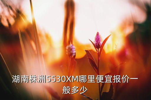 湖南高科技智能睡枕多少錢，湖南株洲5530XM哪里便宜報(bào)價(jià)一般多少