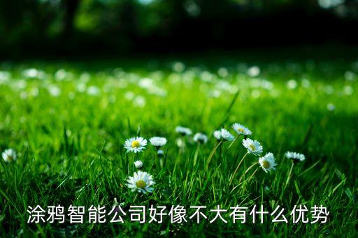 涂鴉智能公司好像不大有什么優(yōu)勢(shì)