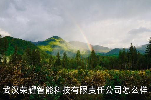 榮彩智能科技怎么樣，深圳榮博機(jī)器人智能科技有限公司怎么樣