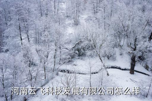 云飛智能科技怎么樣，河南云飛科技發(fā)展有限公司怎么樣