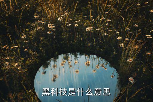 智能出行需求黑科技是什么，汽車黑科技是什么意思
