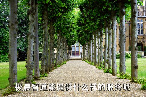 晨道智能科技怎么樣，早慧智能科技有限公司怎么樣我準(zhǔn)備去哪里應(yīng)聘想當(dāng)那里的教師