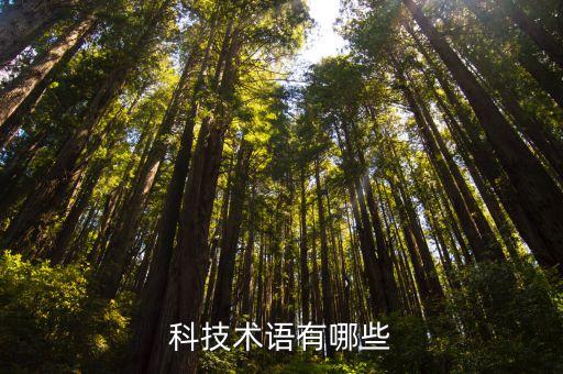 科技術(shù)語有哪些
