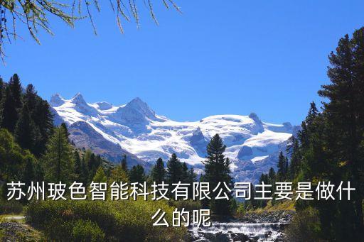 智能科技公司一般做什么，冠軍智能科技有限公司主要是做啥的