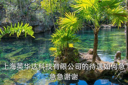上海竹間智能科技怎么樣，上海英華達(dá)科技有限公司的待遇如何急急急謝謝