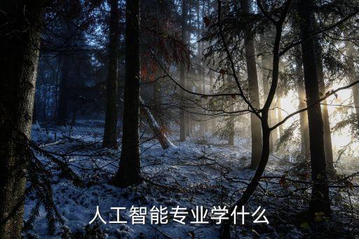 人工智能專業(yè)學(xué)什么
