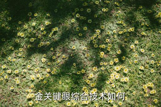 金關(guān)鍵眼綜合技術(shù)如何