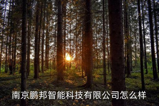 鵬洲智能科技怎么樣，南京鵬邦智能科技有限公司怎么樣