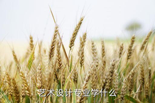科技智能藝術(shù)設(shè)計學(xué)什么，互聯(lián)網(wǎng)VR設(shè)計師專業(yè)主要學(xué)什么你