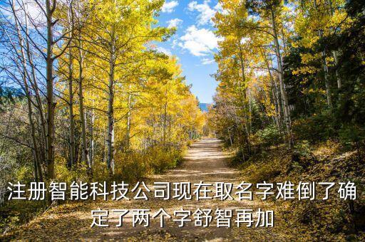 注冊智能科技公司現(xiàn)在取名字難倒了確定了兩個字舒智再加