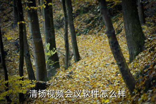 清揚(yáng)視頻會(huì)議軟件怎么樣