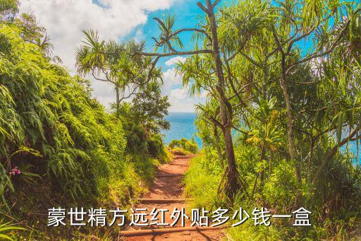 蒙世精方遠(yuǎn)紅外貼多少錢一盒