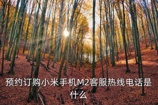 預(yù)約訂購小米手機(jī)M2客服熱線電話是什么