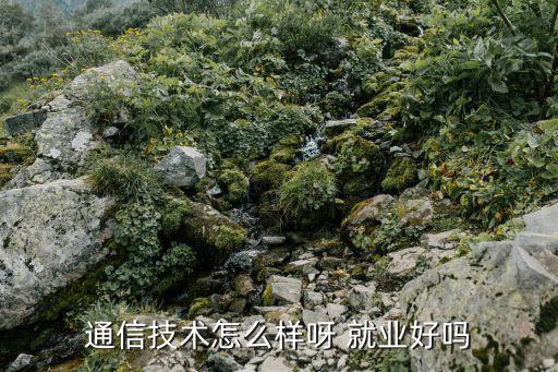 通信技術怎么樣呀 就業(yè)好嗎