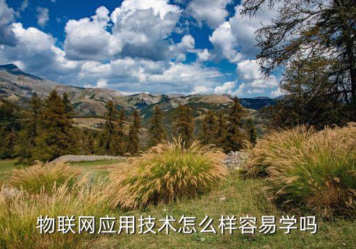 物聯(lián)網(wǎng)應(yīng)用技術(shù)怎么樣容易學(xué)嗎