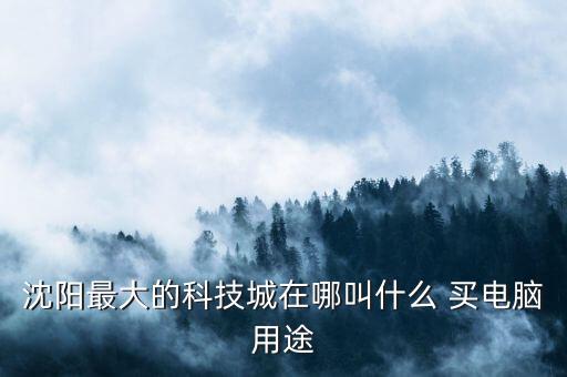 沈陽最大的科技城在哪叫什么 買電腦用途