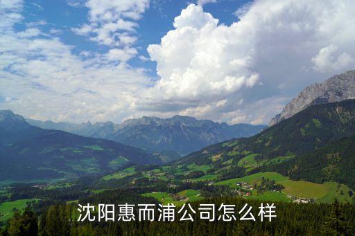惠而浦智能科技終端怎么樣，沈陽惠而浦公司怎么樣