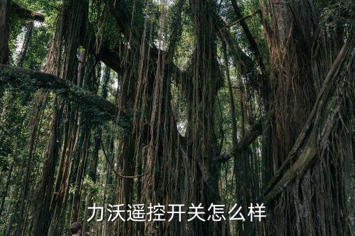 力沃遙控開關(guān)怎么樣