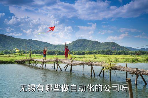 無錫有哪些做自動(dòng)化的公司呀