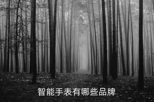 數(shù)字科技智能手表有哪些，智能手表有哪些品牌的啊