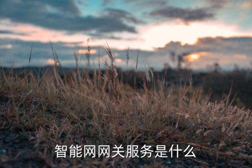 經(jīng)緯科技智能網(wǎng)關(guān)是什么，智能網(wǎng)關(guān)是什么