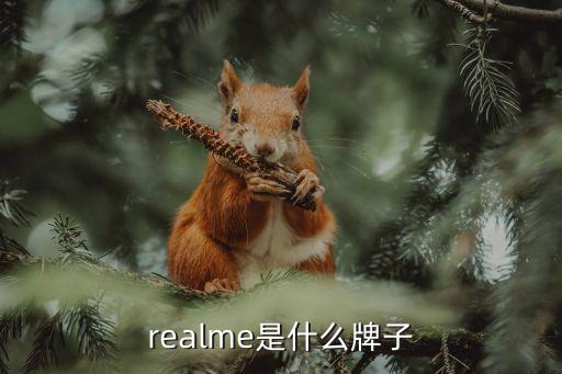 程必信科技智能產(chǎn)品有哪些，每客CSI智能技術(shù)是什么