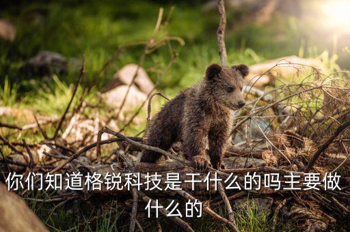 垚格智能科技是做什么的，你們知道格銳科技是干什么的嗎主要做什么的