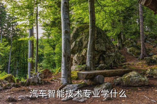 行知智能科技做什么的，汽車(chē)智能技術(shù)專(zhuān)業(yè)學(xué)什么