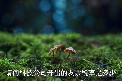 請(qǐng)問(wèn)科技公司開(kāi)出的發(fā)票稅率是多少