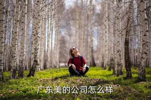 廣東美的智能科技怎么樣，廣東美的公司怎么樣