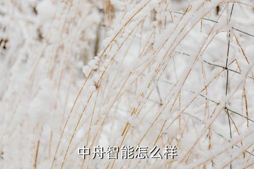 中冠智能科技穿什么衣服，蘇州三星電子有限公司穿什么衣服