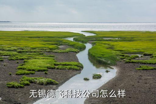 無錫德晟智能科技怎么樣，有誰聽說過無錫德飛科技有限公司 這公司怎么樣