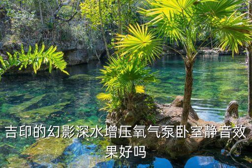 寵愛智能科技怎么樣啊，吉印的幻影深水增壓氧氣泵臥室靜音效果好嗎