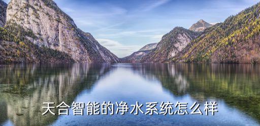 神州天合智能科技怎么樣，天合智能主要產(chǎn)品有哪些服務怎么樣